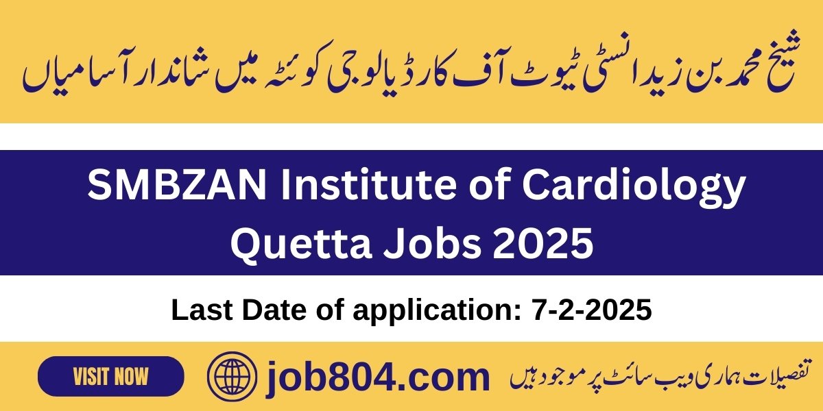 SMBZAN Institute of Cardiology Jobs 2025