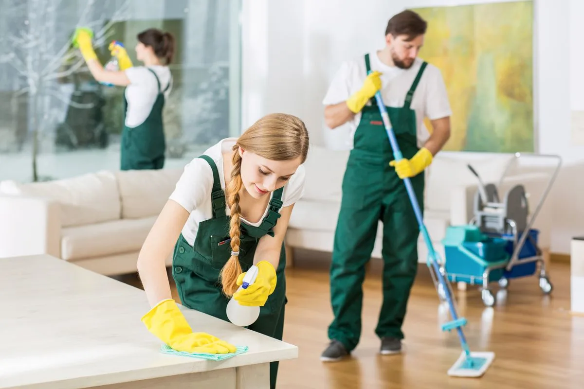 Cleaner Job in Auckland, New Zealand